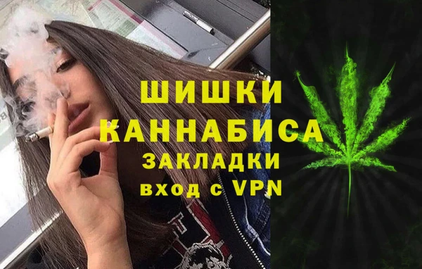 дмт Арсеньев